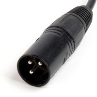 Remote Audio XLRM to XLRF 12 Inch Cable (CAXJ12RT)