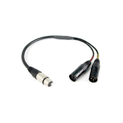 Remote Audio Stereo Cable (CAXSTE)