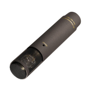 Sennheiser MKH 800 TWIN Condenser Microphone