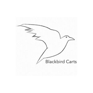 Blackbird Carts 16" Aluminum Alloy Pneumatic Wheels
