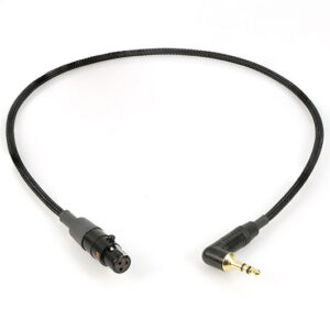 Remote Audio CASDTD