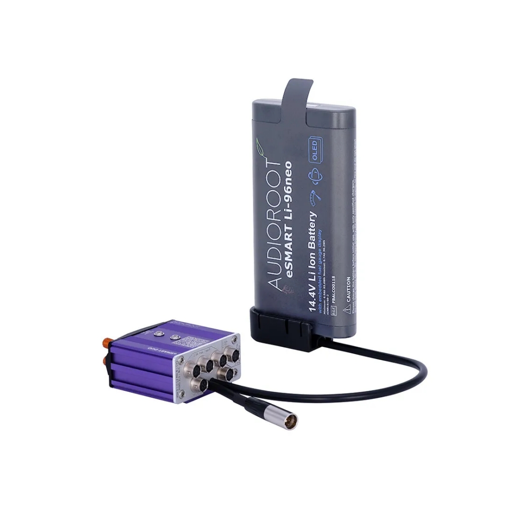 Audioroot Customizable Cable Inputs for eSMART DUO - Image 3