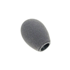 Schoeps B5D Popscreen
