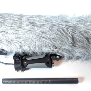 Deity S-Mic2 with Rode Blimp
