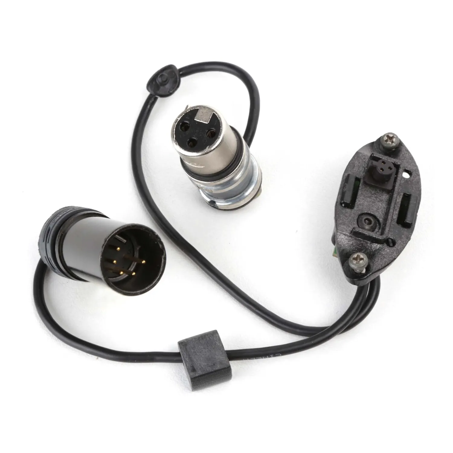 Cinela PIANISSIMO Cables: the MS output cable with its 5-pin male XLR, 3-pin female XLR, and Binder socket.