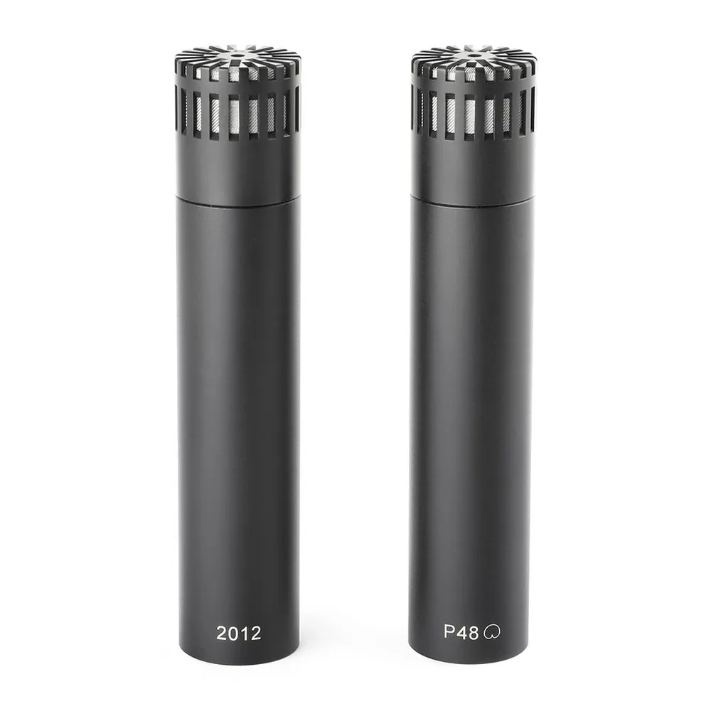 DPA 2012 Compact Cardioid Microphone: A stereo pair of mics side by side.