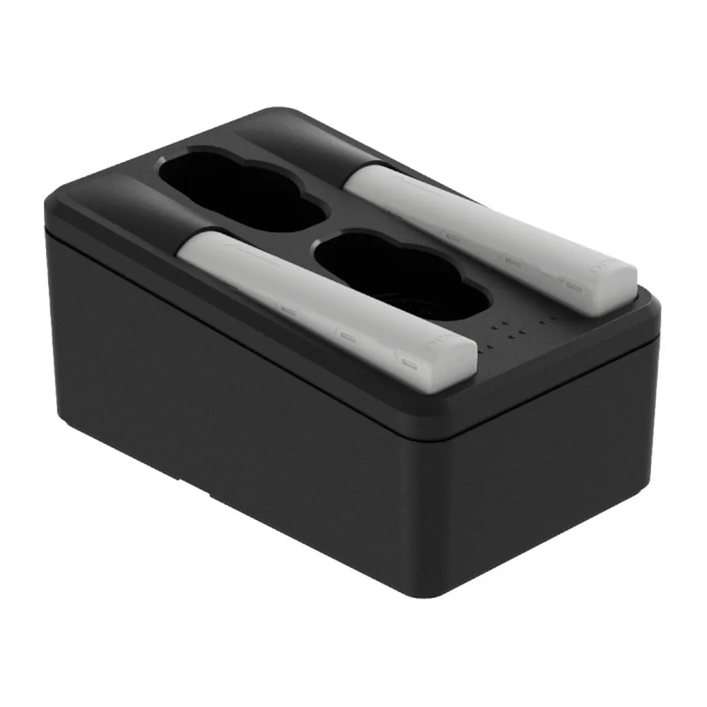 DPA CH0202 Battery Charging Dock: The dock from the other side with its batteries.