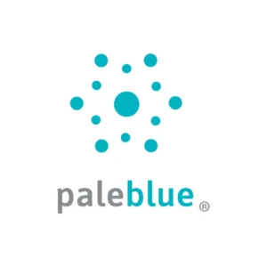 Paleblue USB-A to USB-C Adapter: the brand's logo, shown until a product photo is added
