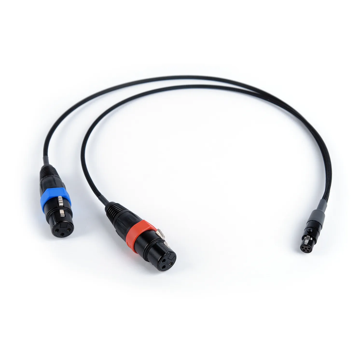 Remote Audio CA2X3FT5F18 Stereo Breakout Cable (2) XLR3F to TA5F: The two XLR3F plugs with blue and red rings and the TA5F.