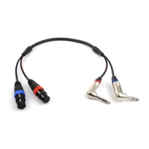 Remote Audio CAM-DXP 2-Channel Adapter (2) XLR3F to (2) 1/4 in TRS: The cable with its two XLR3F and two right-angle 1/4 in TRS plugs.