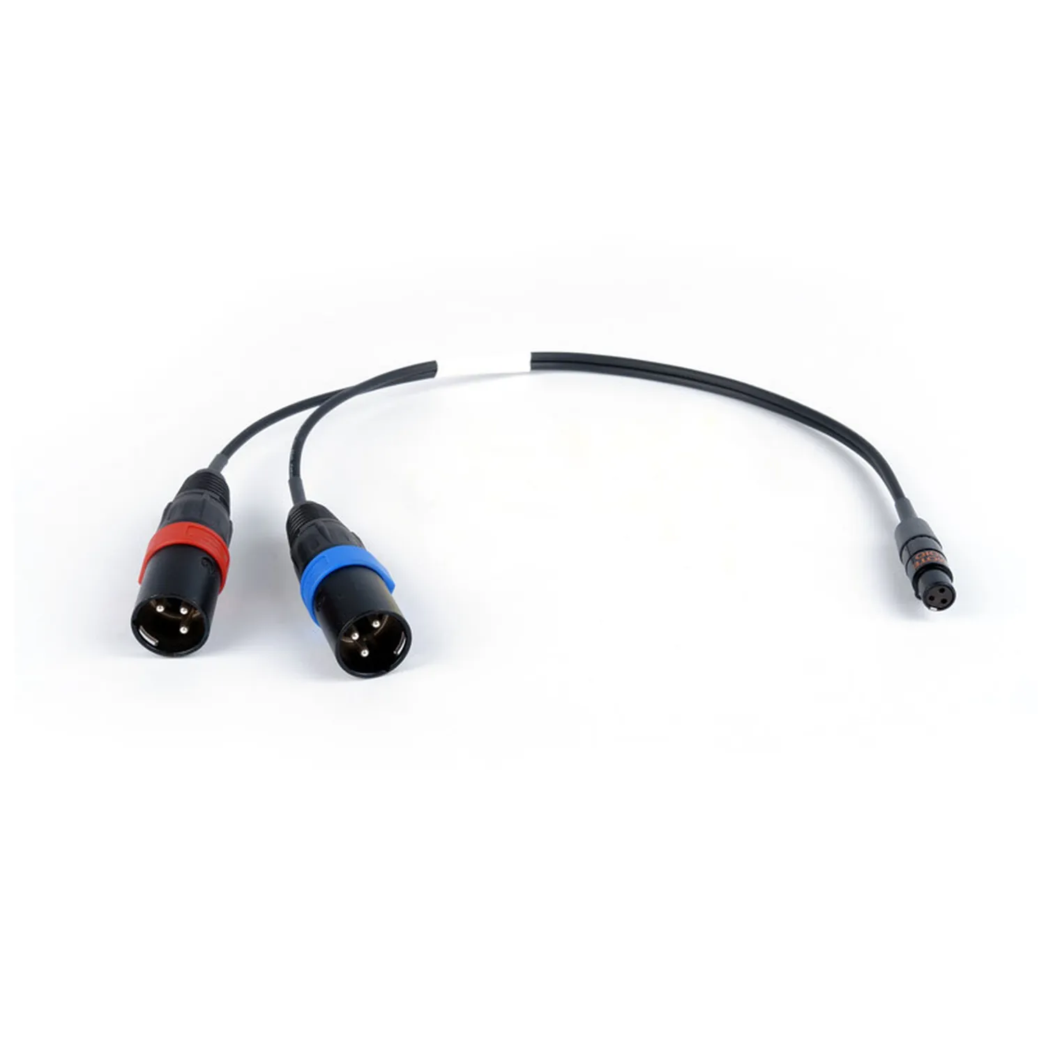 Remote Audio CASD442TOY Stereo Breakout Cable for Tape/Mix Outputs: The breakout with its TA3F and two color-banded XLR3M.