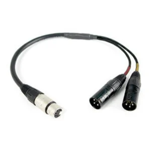 Remote Audio CAXSTE25 Stereo Breakout Cable XLR5F to (2) XLR3M: The XLR5F and the two XLR3M connectors at the split.