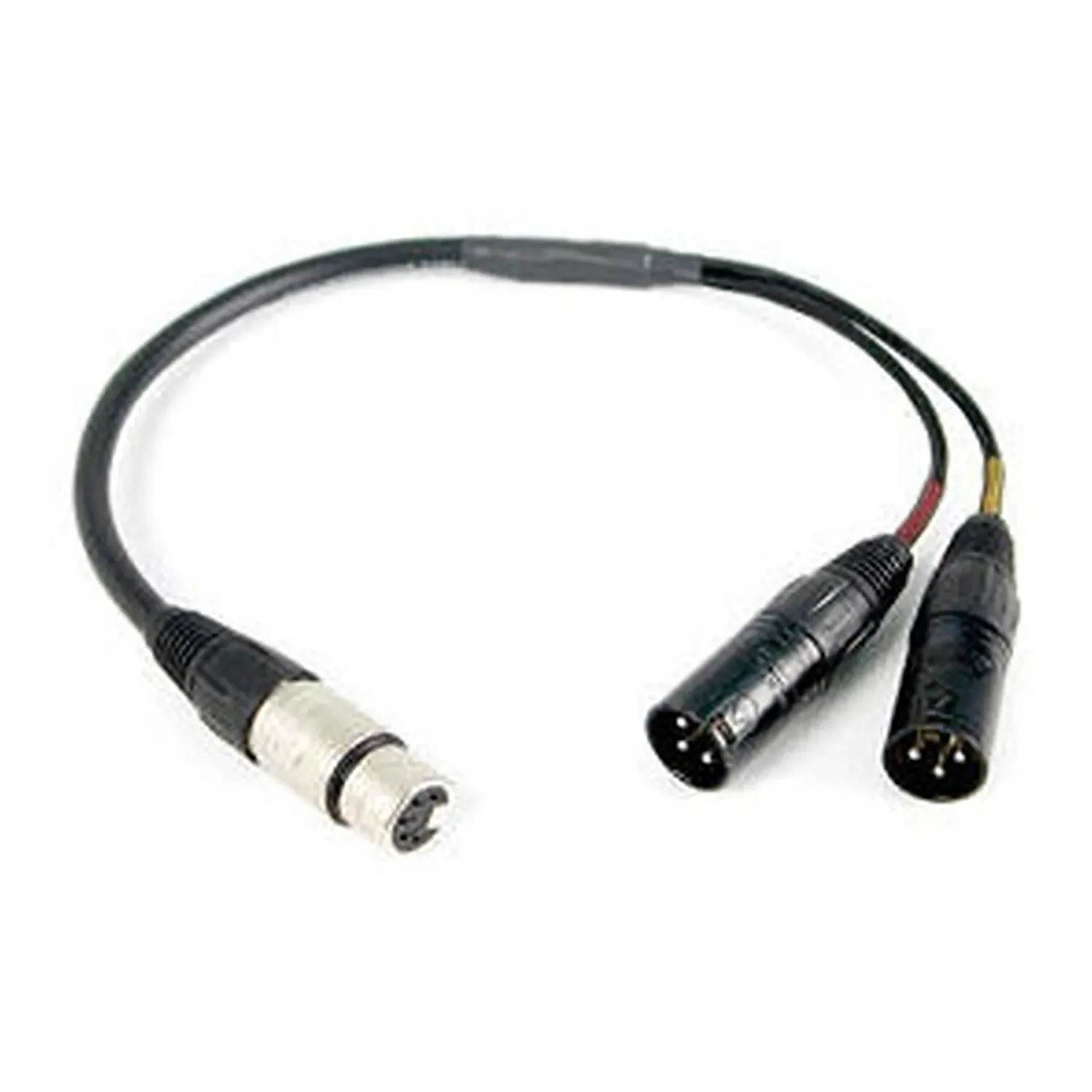 Remote Audio CAXSTE25 Stereo Breakout Cable XLR5F to (2) XLR3M (25 ft): The XLR5F and the two XLR3M connectors at the split.