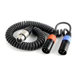 Remote Audio CAXSTECOIL Coiled Stereo Breakout XLR5F to (2) XLR3M: The coiled breakout with its XLR5F and two XLR3M plugs.