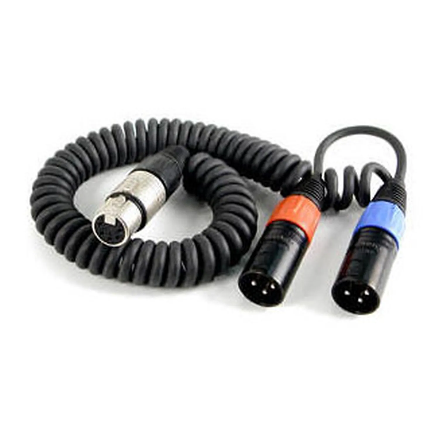 Remote Audio CAXSTECOIL Coiled Stereo Breakout XLR5F to (2) XLR3M: The coiled breakout with its XLR5F and two XLR3M plugs.