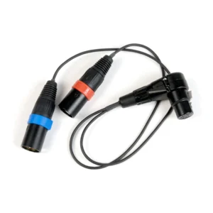 Remote Audio CAZXSTE Stereo Breakout Cable XLR5F to (2) XLR3M: The breakout with its XLR5F and two color-banded XLR3M.