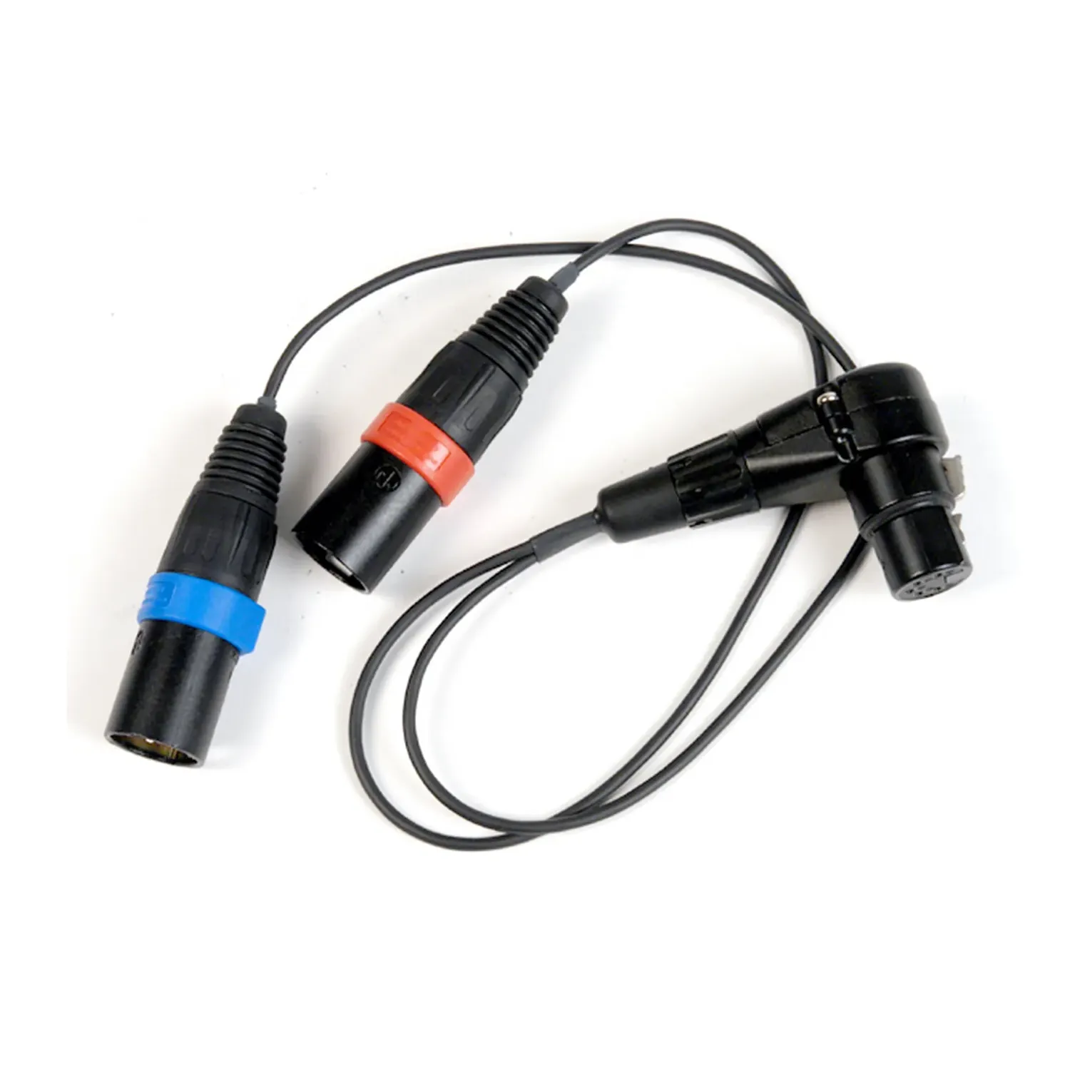 Remote Audio CAZXSTE Stereo Breakout Cable XLR5F to (2) XLR3M: The breakout with its XLR5F and two color-banded XLR3M.