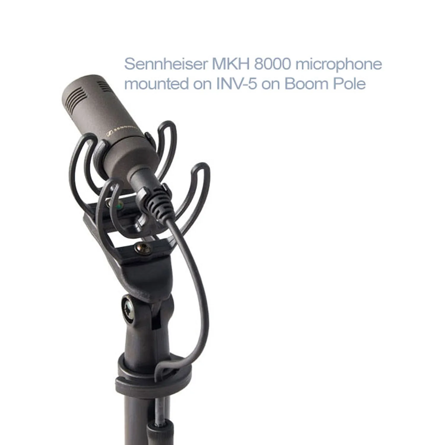 Rycote InVision Shock Mount - INV-5: INV-5 holding a Sennheiser MKH 8000 series mic on a boom pole.