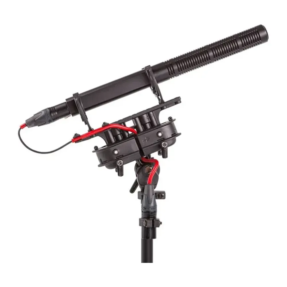 Rycote Cyclone Large Windshield Kit, the Cyclone suspension and shotgun mic from the side.