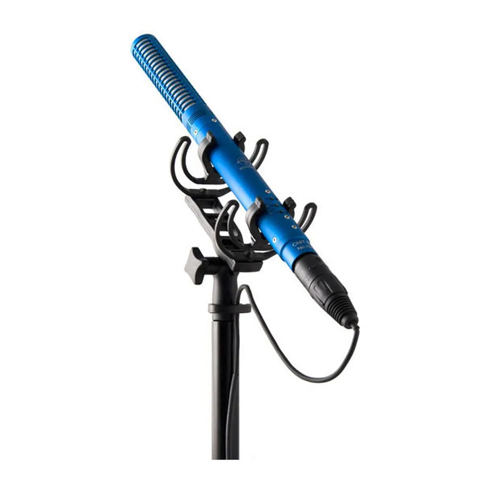 Rycote InVision Shock Mount: INV-7 holding a Schoeps mic on a stand.